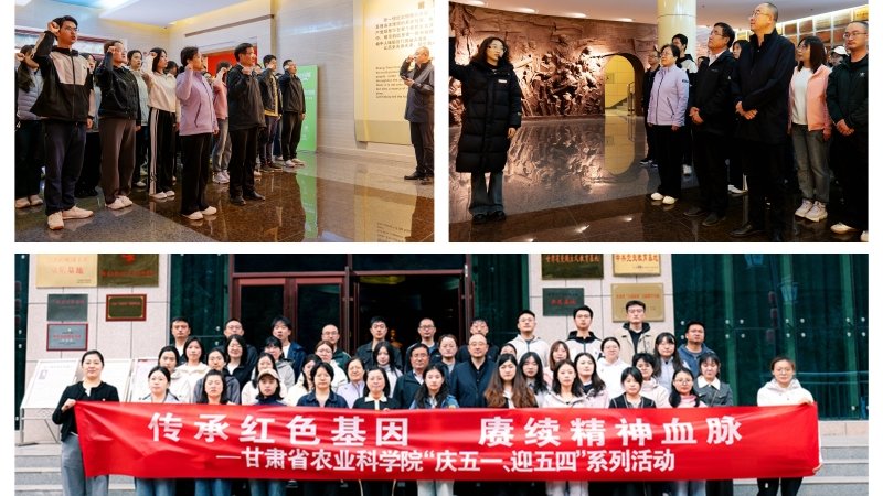 赓续五四薪火  青春挺膺担当  展现青春风采