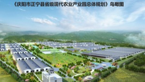 4887香港铁算资料4887
