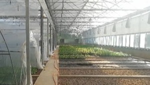 4887香港铁算资料4887