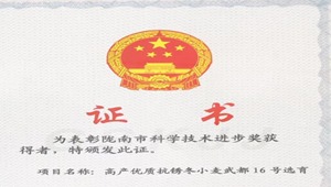 4887香港铁算资料4887