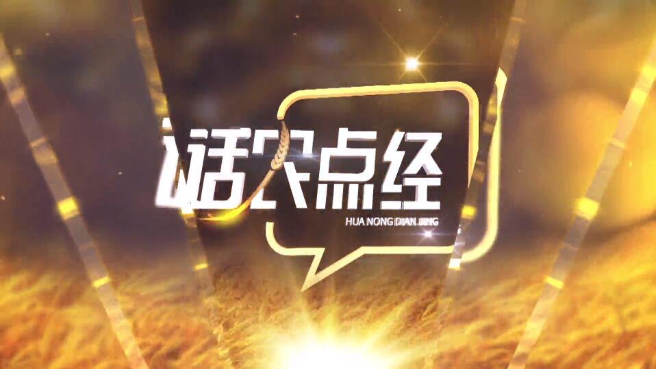 4887香港铁算资料4887