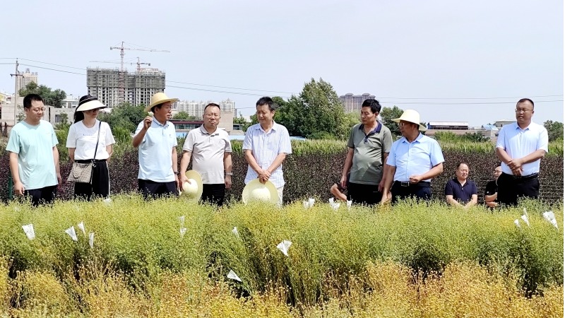 党委书记刘国汉到特油体系兰州试验站检查指导工作