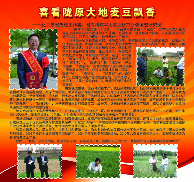 4887香港铁算资料4887