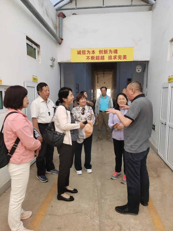 4887香港铁算资料4887