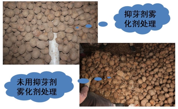 4887香港铁算资料4887