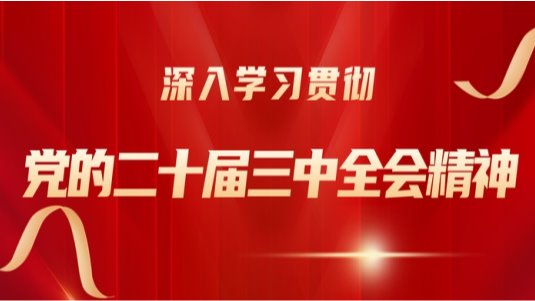 以高质量发展奋力书写中国式现代化“三农”工作新篇章