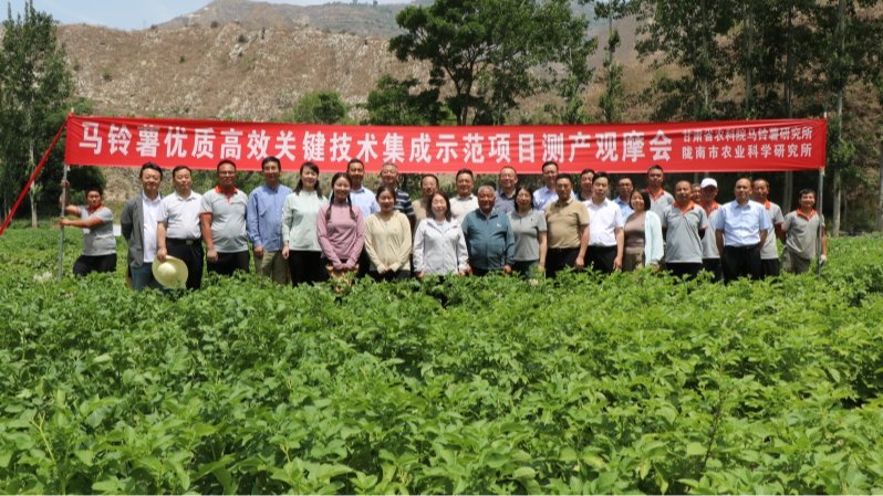 马铃薯所在文县举办院区域协同创新项目观摩会
